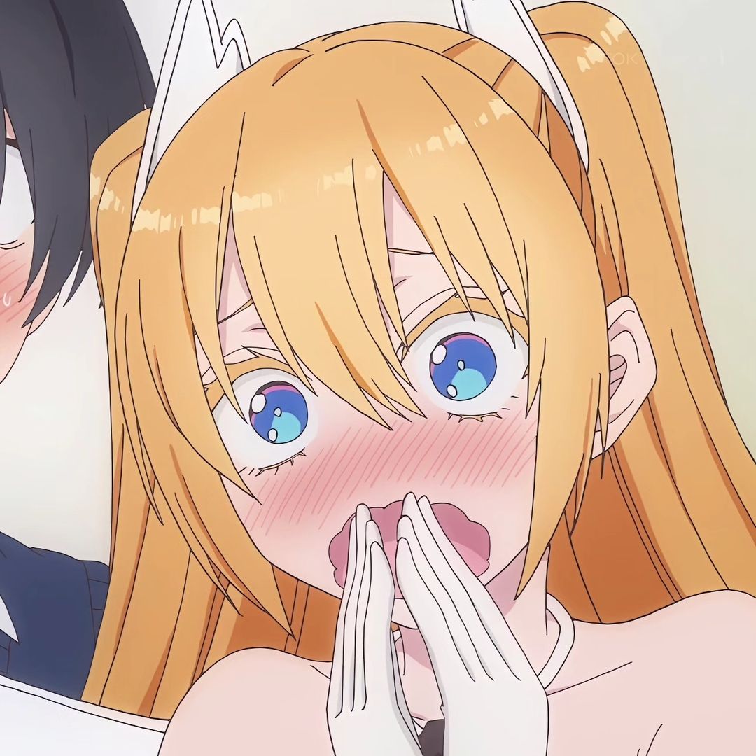 Chisato Hasegawa The Testament of Sister New Devil profile picture