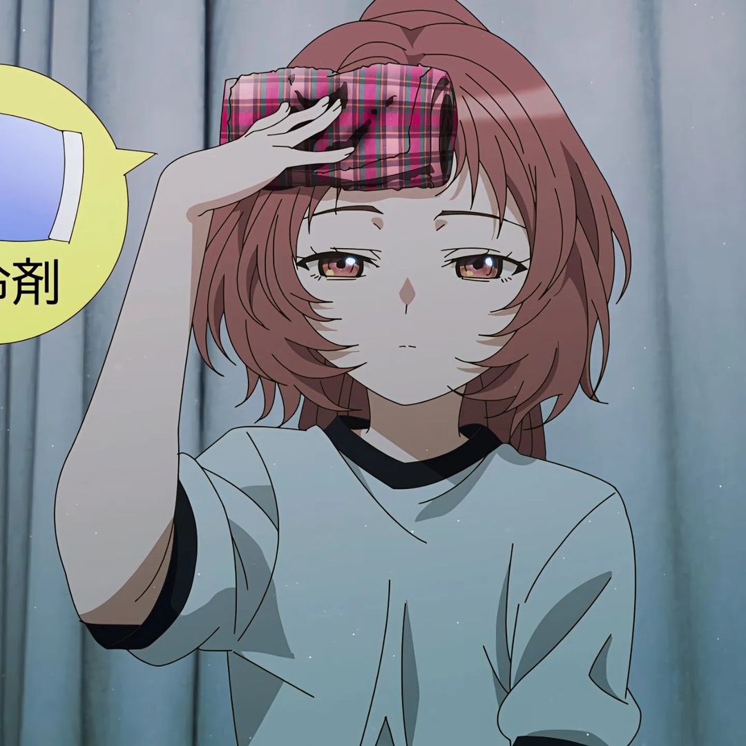 Mai Sakurajima Rascal Does Not Dream of Bunny Girl Senpai profile picture