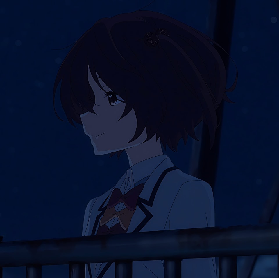 Mai Sakurajima Rascal Does Not Dream of Bunny Girl Senpai profile picture