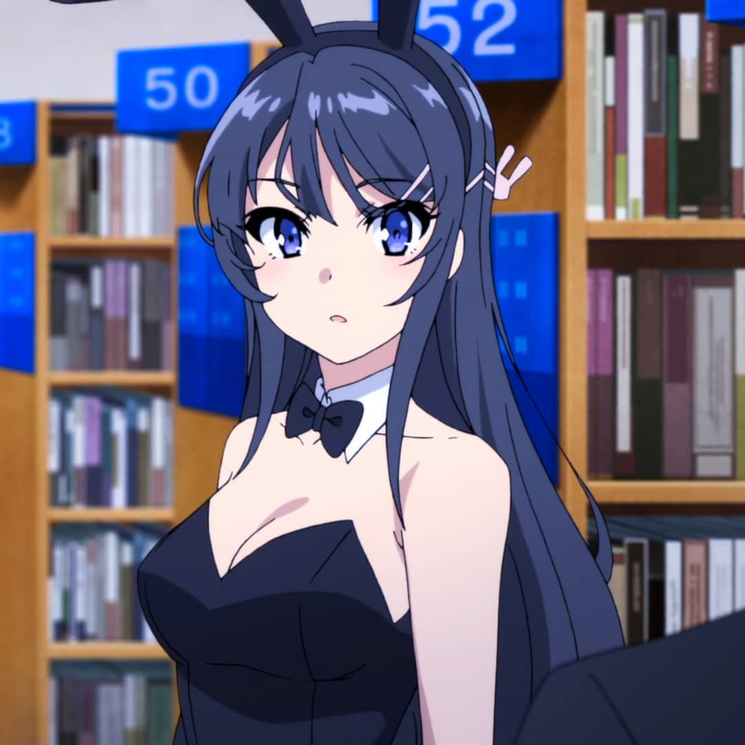 Mai Sakurajima Rascal Does Not Dream of Bunny Girl Senpai profile picture