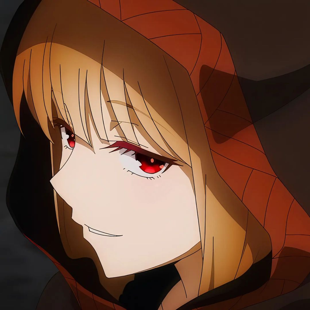 Holo Spice and Wolf profile picture