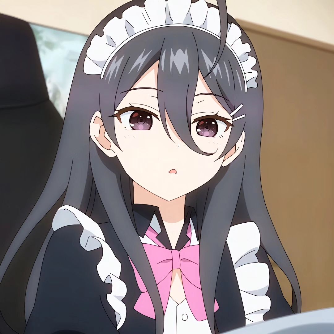 Mai Sakurajima Rascal Does Not Dream of Bunny Girl Senpai profile picture