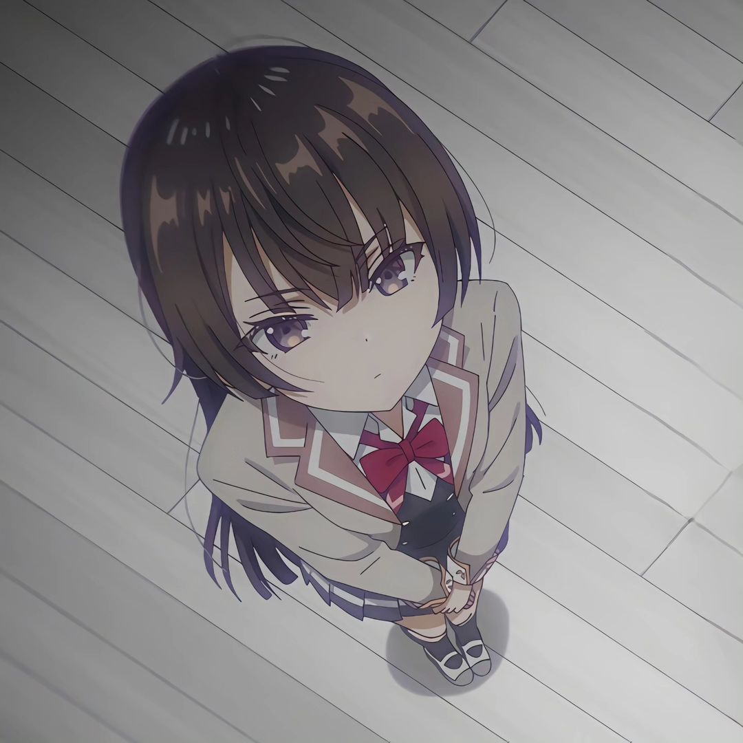 Mai Sakurajima Rascal Does Not Dream of Bunny Girl Senpai profile picture