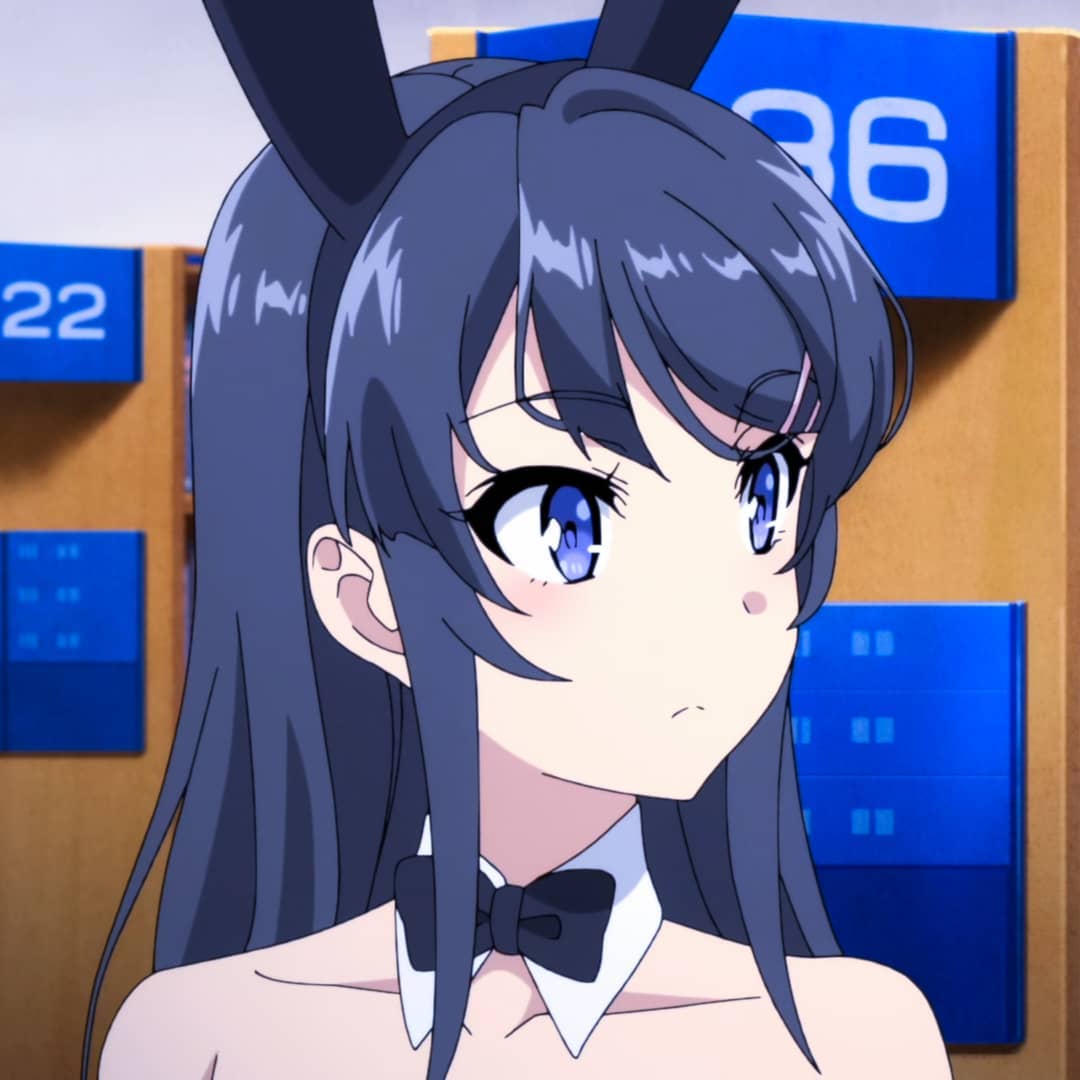 Mai Sakurajima Rascal Does Not Dream of Bunny Girl Senpai profile picture