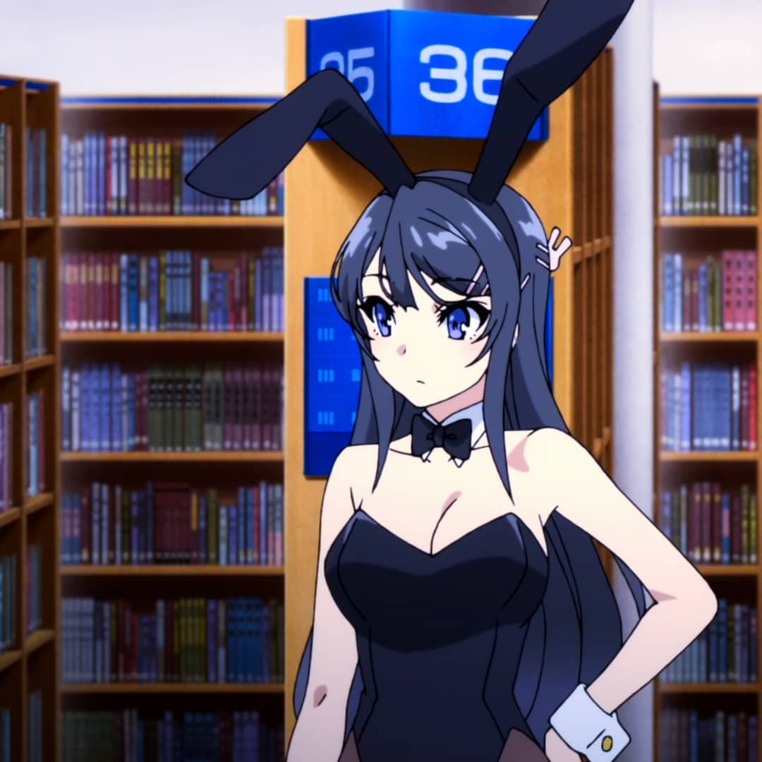 Mai Sakurajima Rascal Does Not Dream of Bunny Girl Senpai profile picture