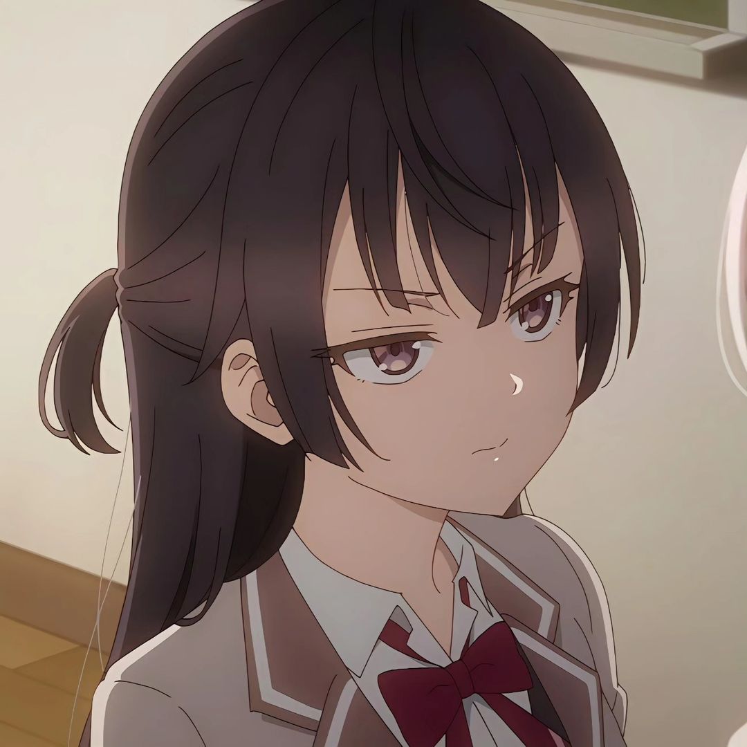 Mai Sakurajima Rascal Does Not Dream of Bunny Girl Senpai profile picture