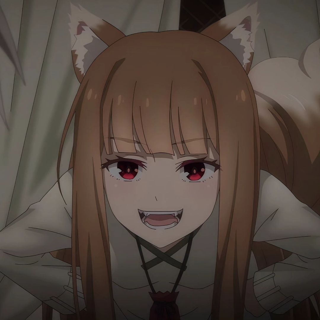 Holo Spice and Wolf profile picture
