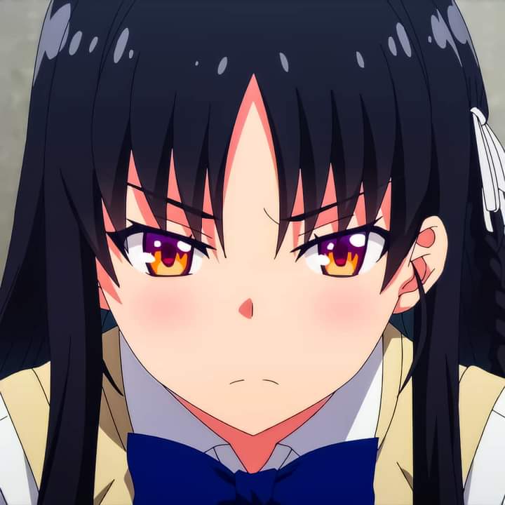 Mai Sakurajima Rascal Does Not Dream of Bunny Girl Senpai profile picture