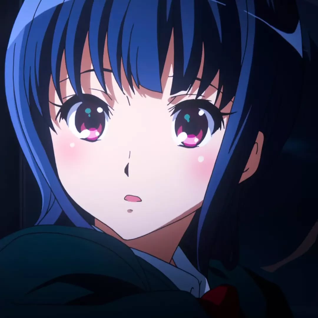 Mai Sakurajima Rascal Does Not Dream of Bunny Girl Senpai profile picture