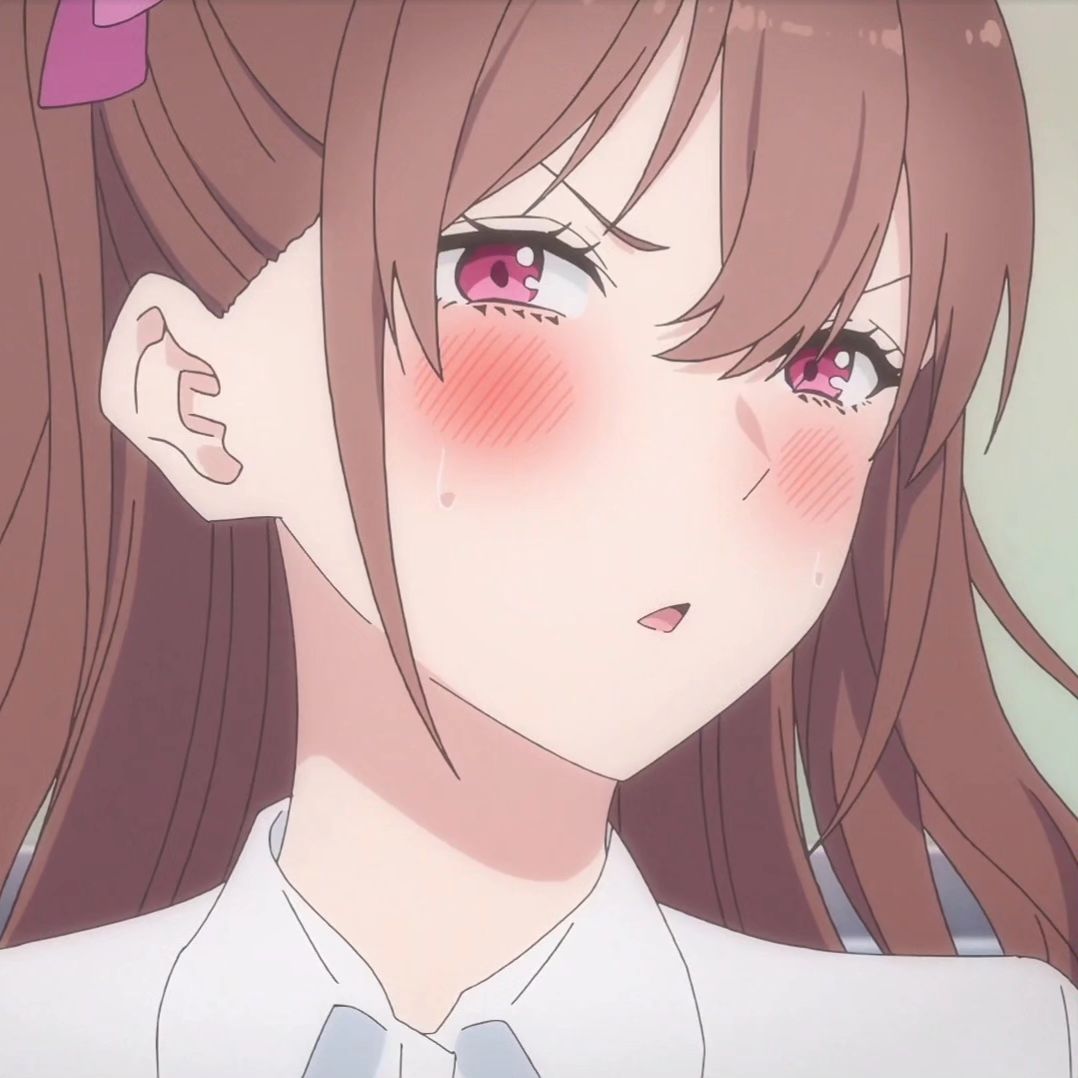 Mai Sakurajima Rascal Does Not Dream of Bunny Girl Senpai profile picture