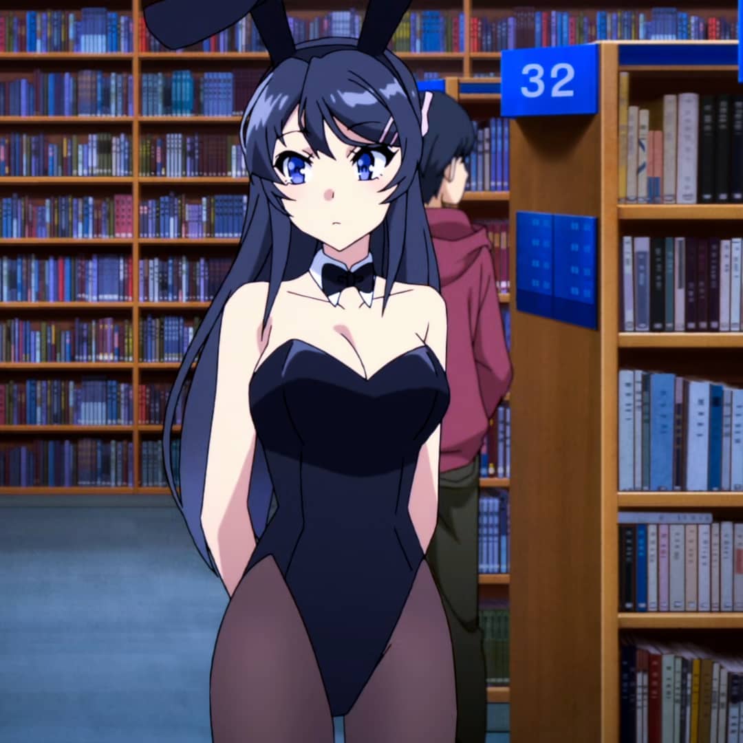 Mai Sakurajima Rascal Does Not Dream of Bunny Girl Senpai profile picture