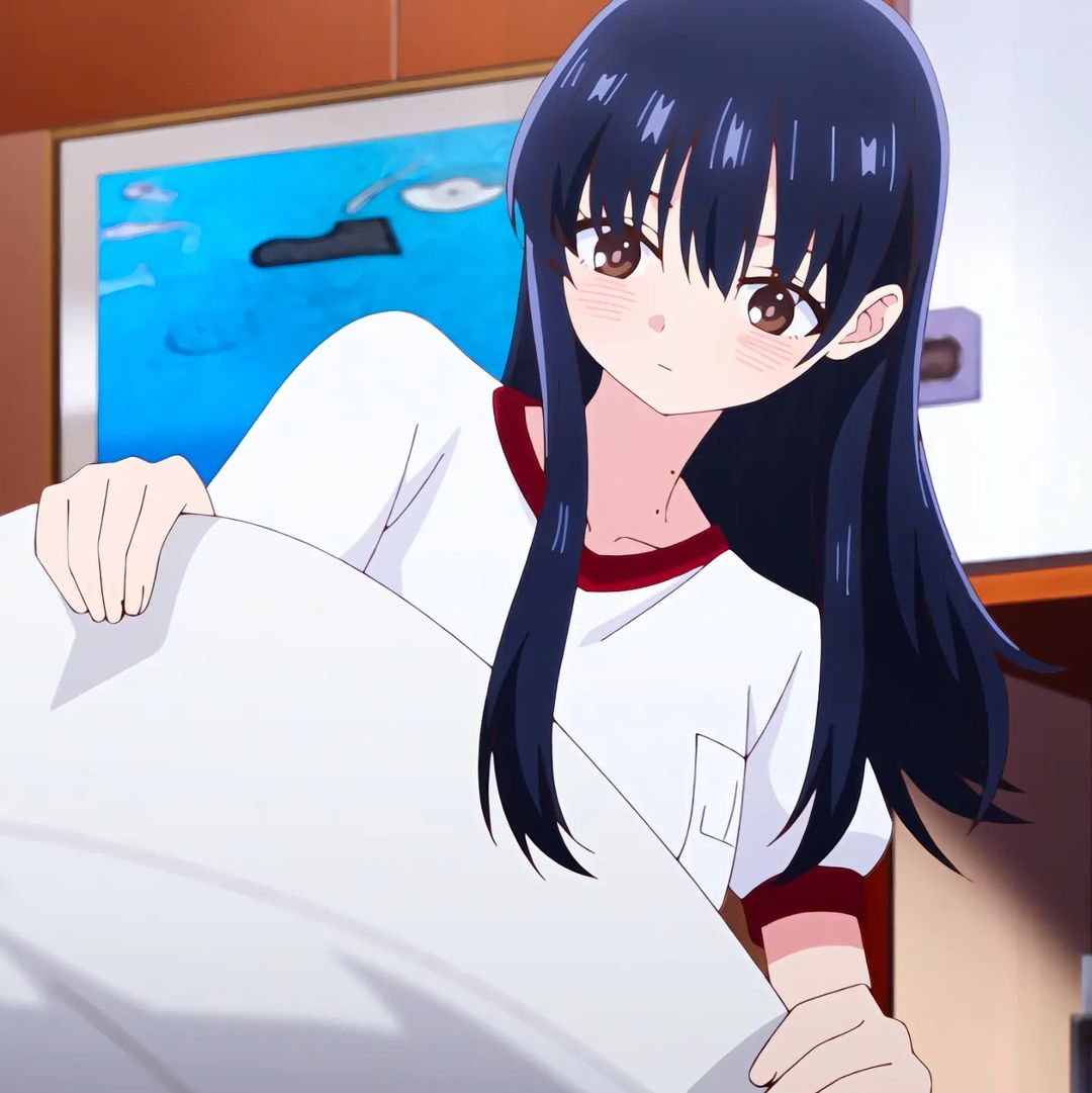 Mai Sakurajima Rascal Does Not Dream of Bunny Girl Senpai profile picture