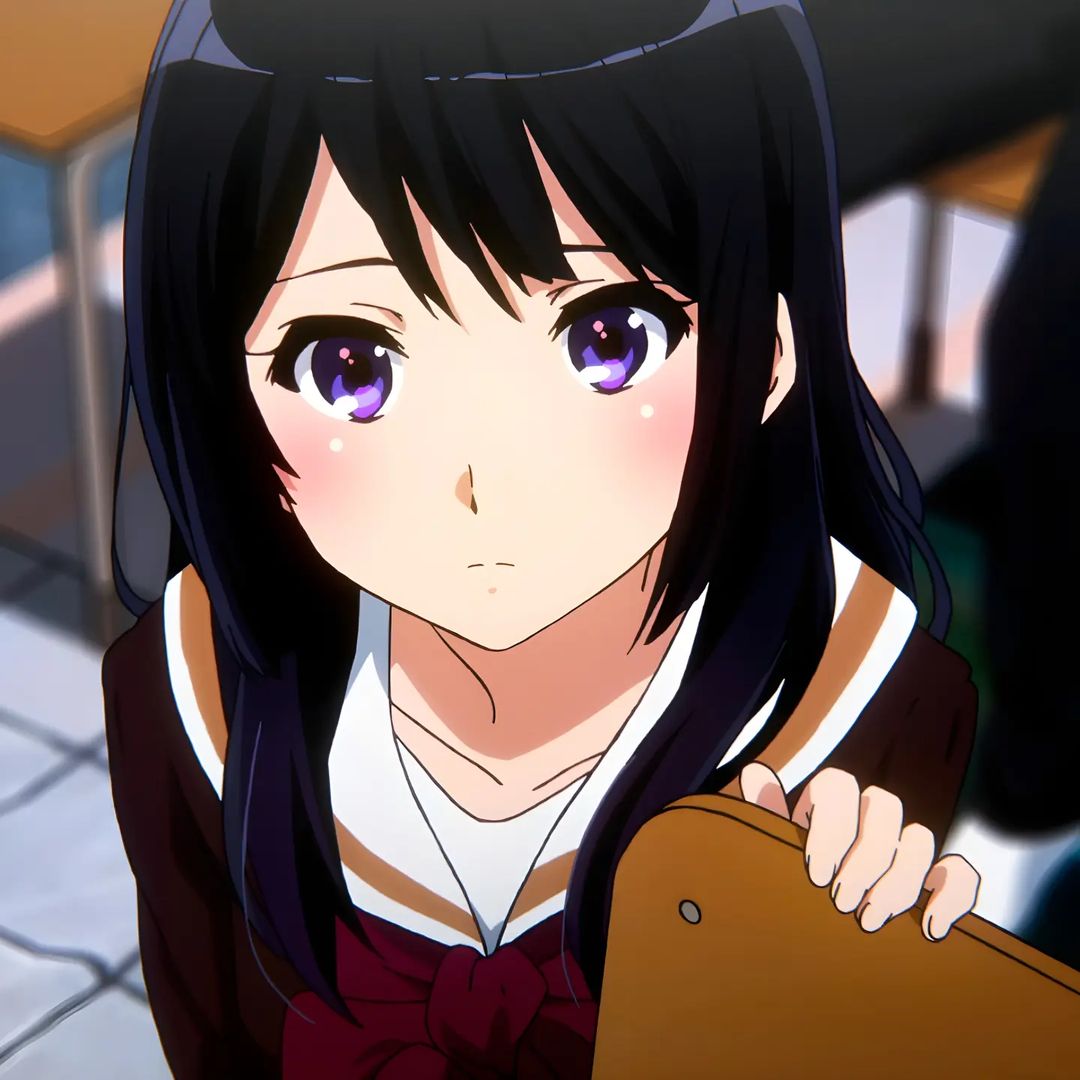 Mai Sakurajima Rascal Does Not Dream of Bunny Girl Senpai profile picture