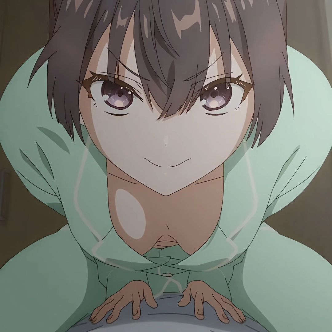 Mai Sakurajima Rascal Does Not Dream of Bunny Girl Senpai profile picture