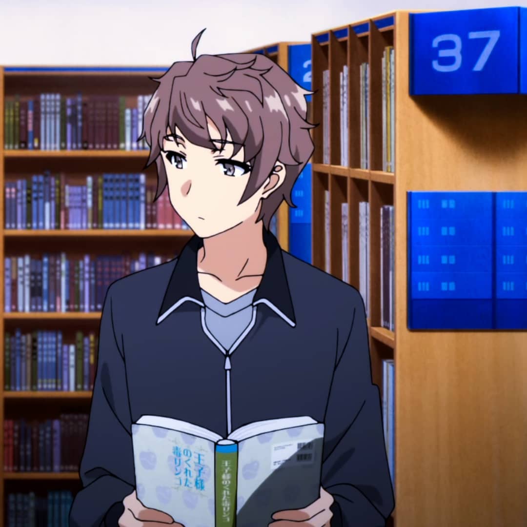 Sakuta Azusagawa Rascal Does Not Dream of Bunny Girl Senpai profile picture