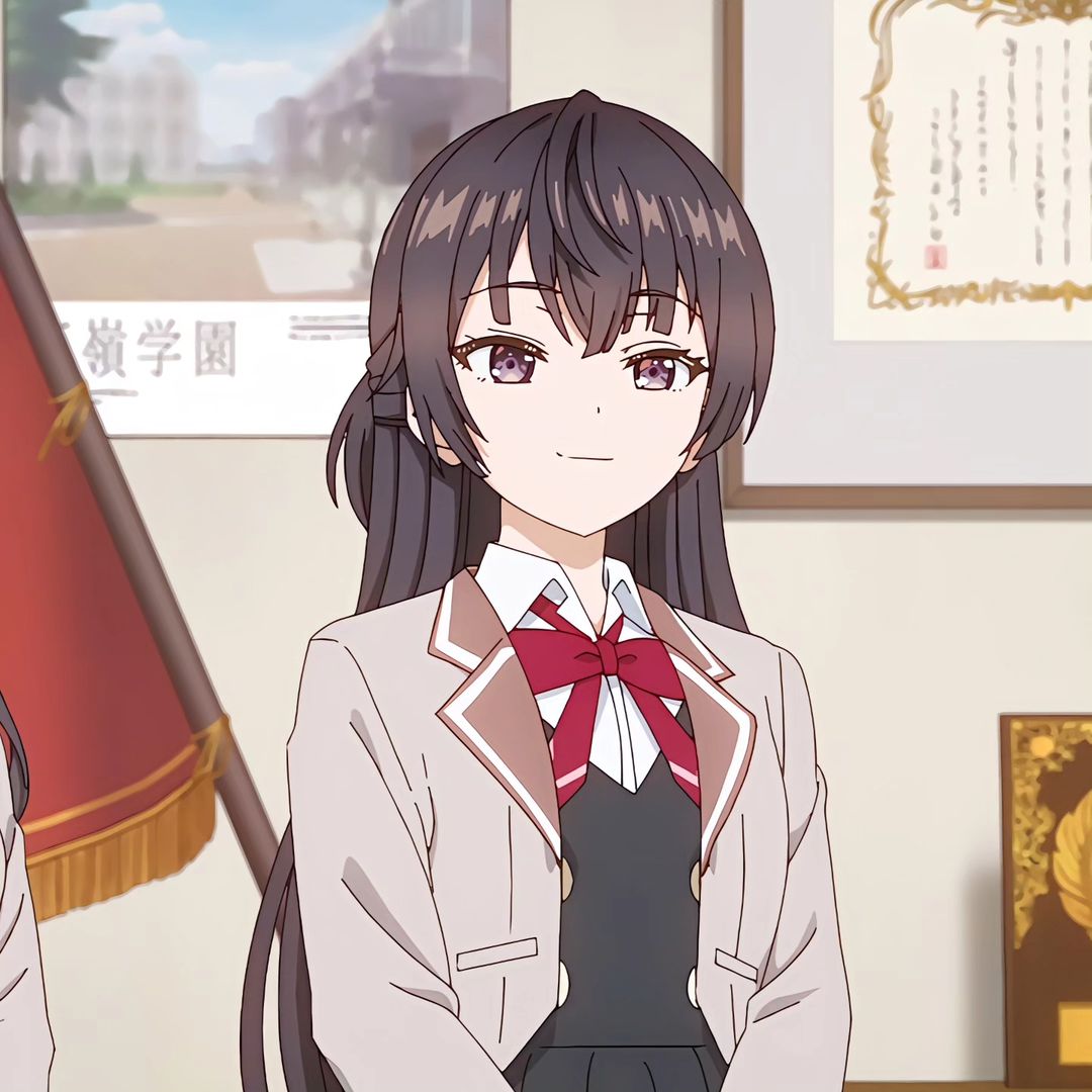 Mai Sakurajima Rascal Does Not Dream of Bunny Girl Senpai profile picture