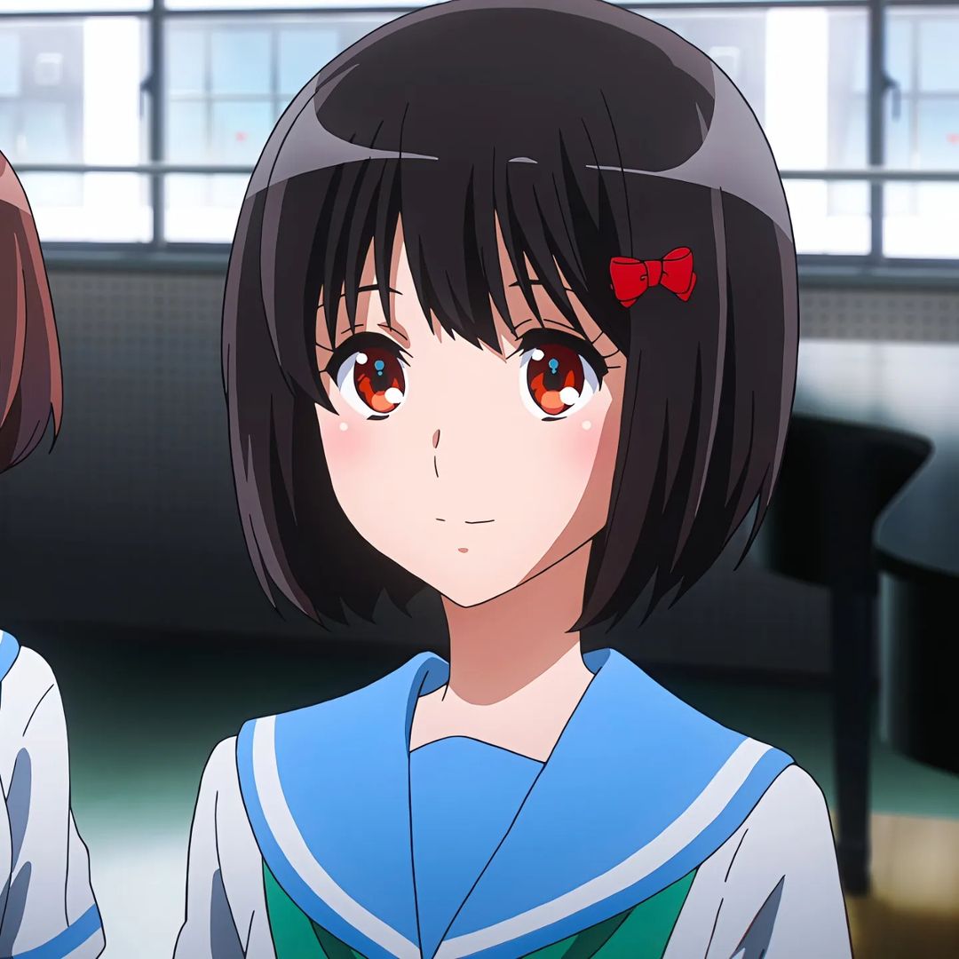 Mai Sakurajima Rascal Does Not Dream of Bunny Girl Senpai profile picture