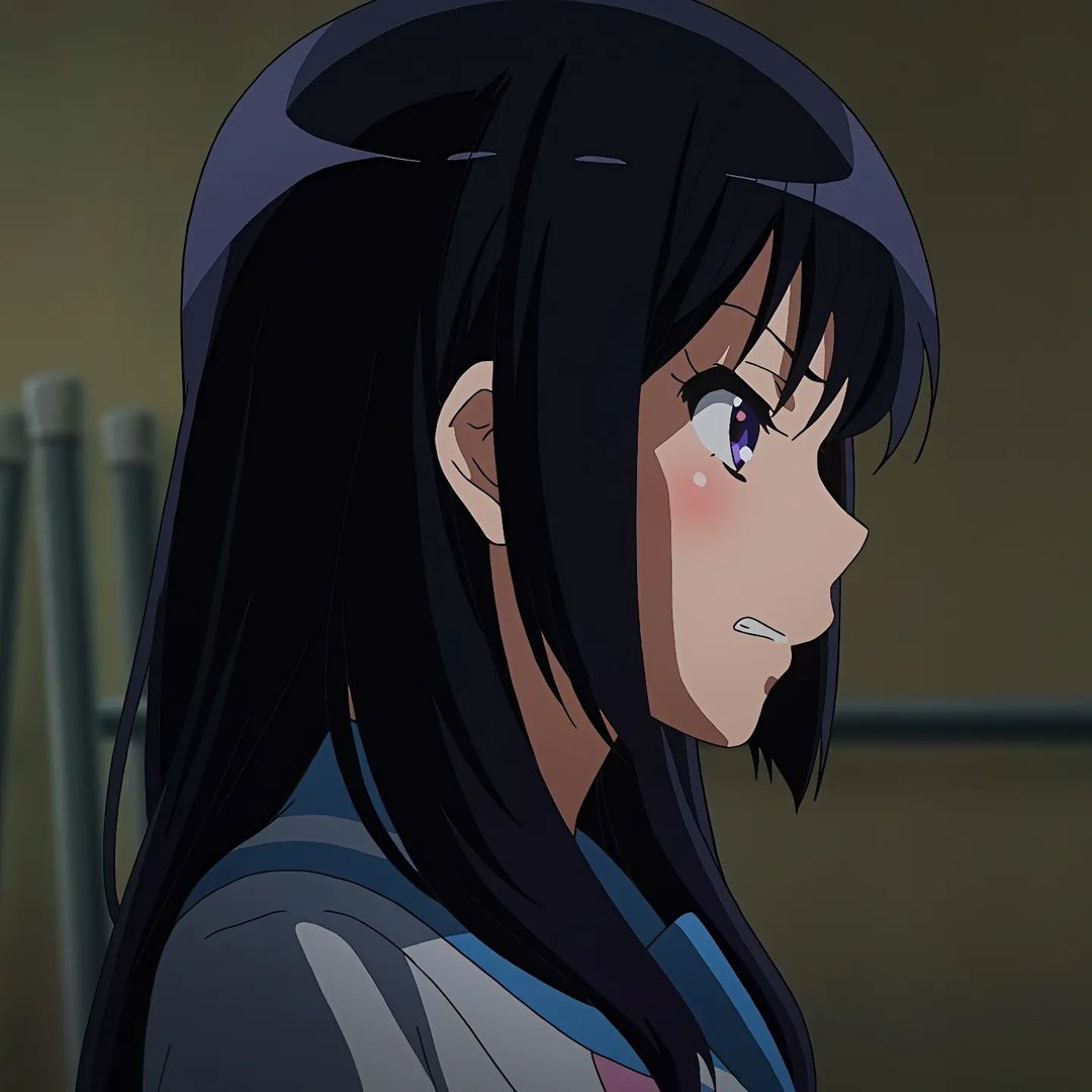 Mai Sakurajima Rascal Does Not Dream of Bunny Girl Senpai profile picture