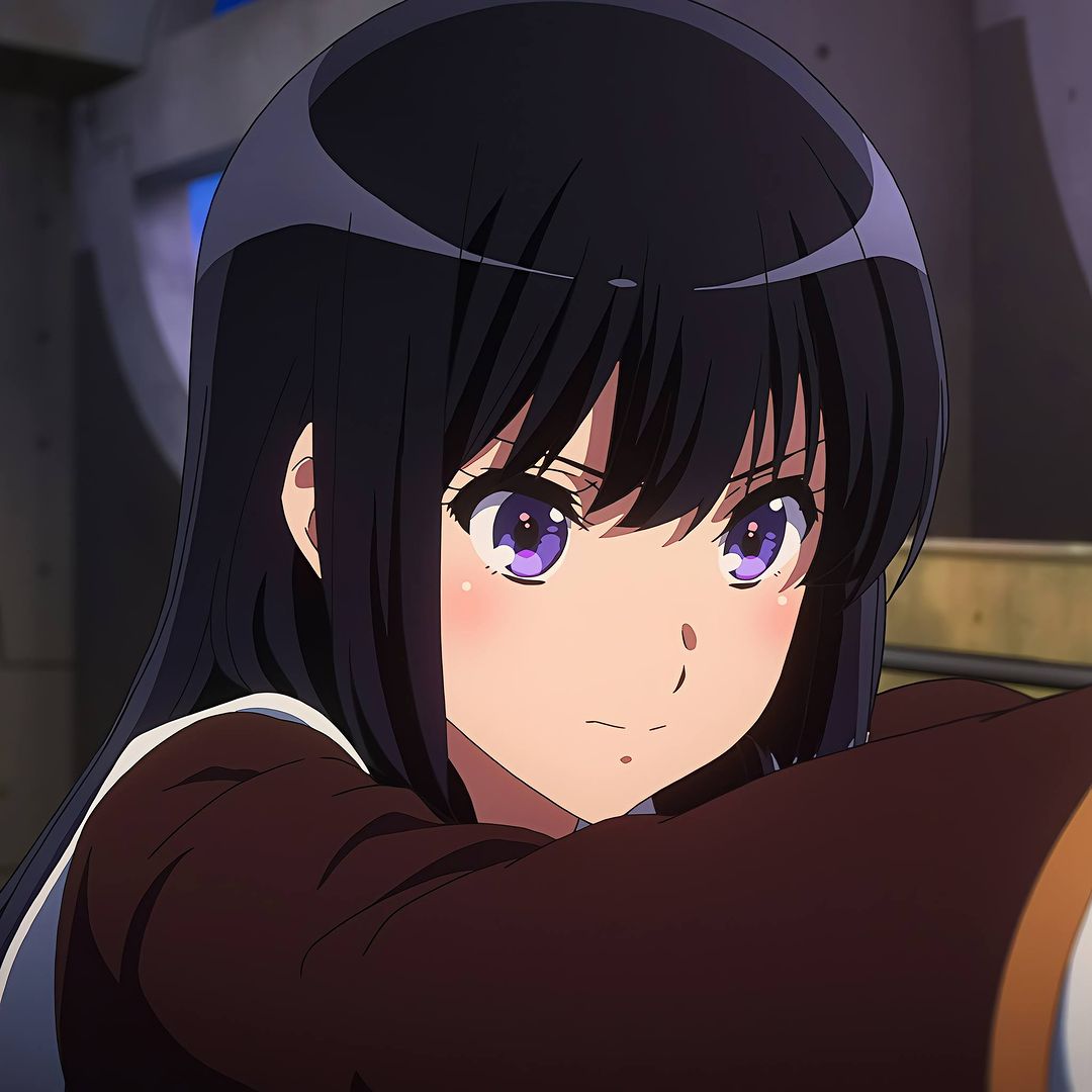Mai Sakurajima Rascal Does Not Dream of Bunny Girl Senpai profile picture