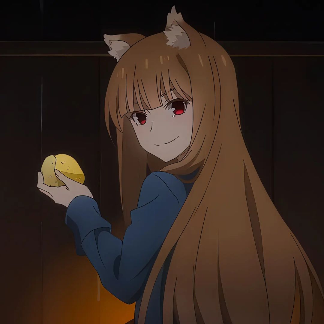 Holo Spice and Wolf profile picture