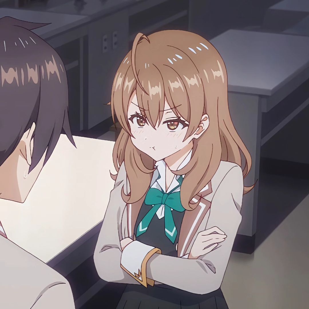 Mai Sakurajima Rascal Does Not Dream of Bunny Girl Senpai profile picture