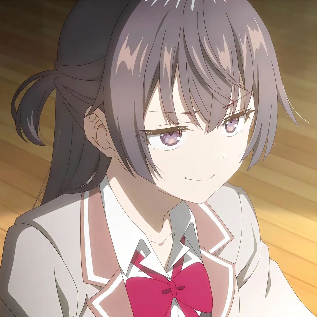 Mai Sakurajima Rascal Does Not Dream of Bunny Girl Senpai profile picture