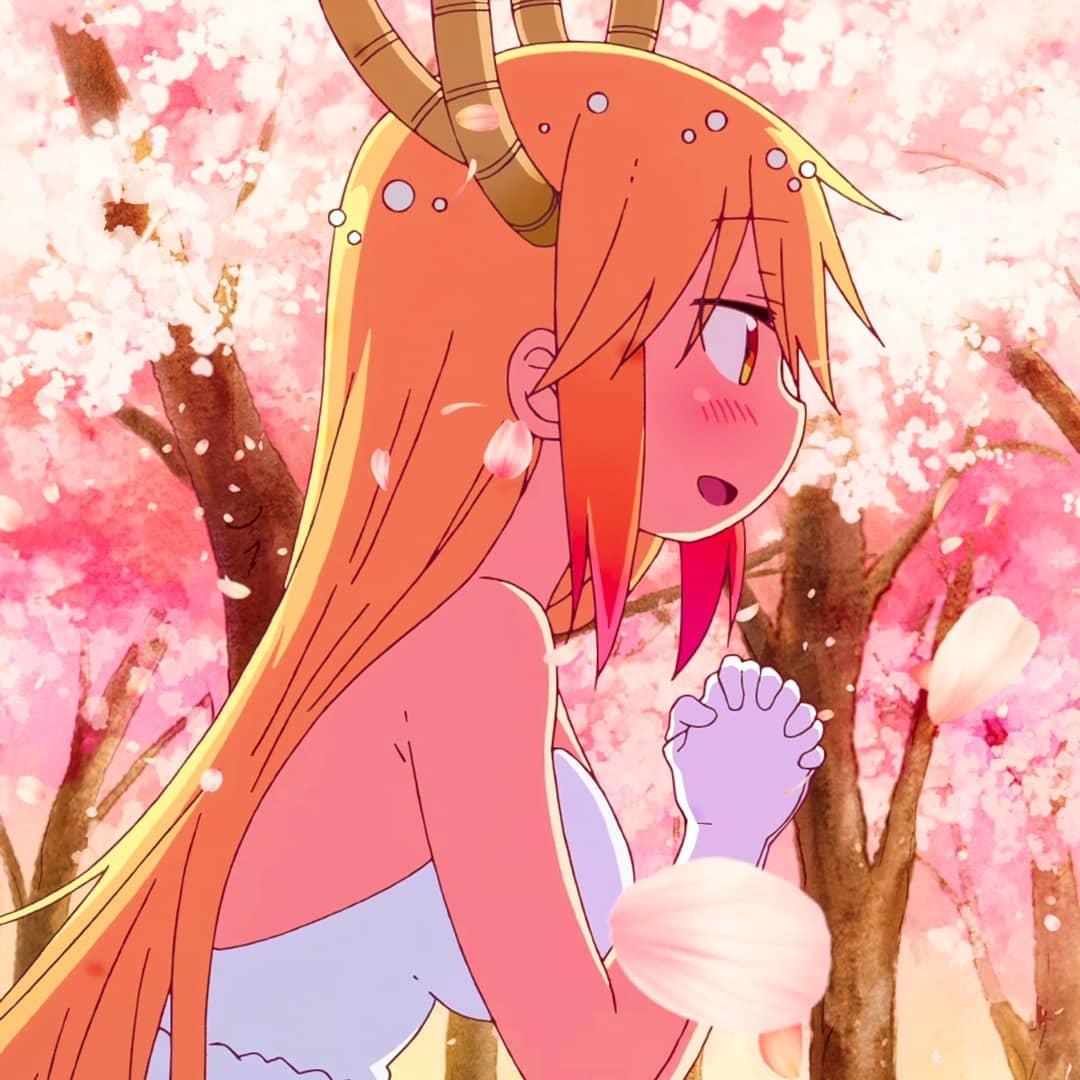Tohru Miss Kobayashi's Dragon Maid profile picture