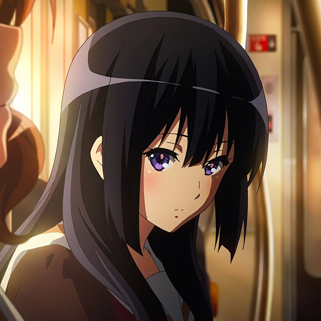 Mai Sakurajima Rascal Does Not Dream of Bunny Girl Senpai profile picture