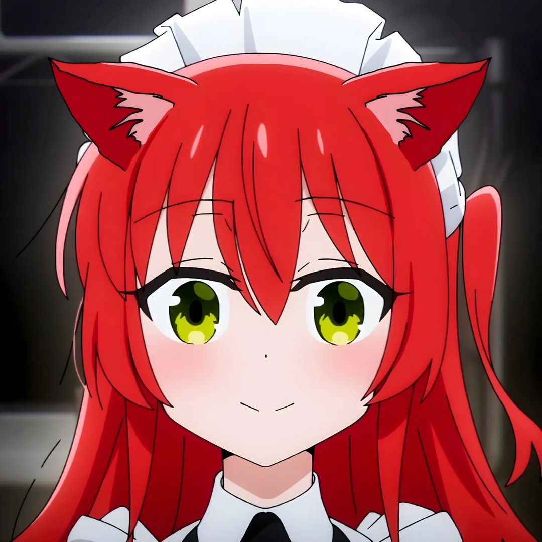 Tsubaki Nakatsukasa Soul Eater profile picture