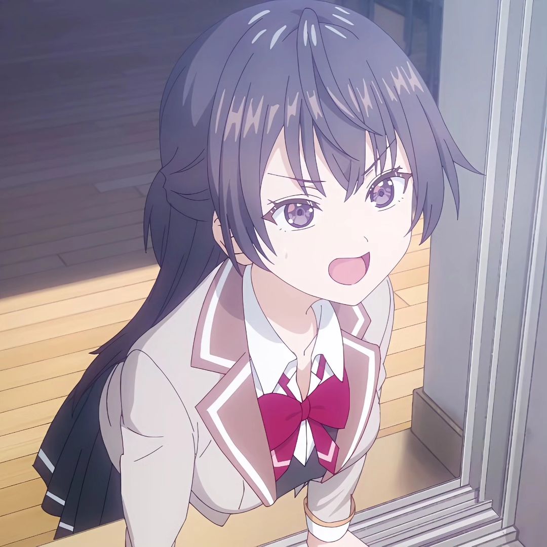 Mai Sakurajima Rascal Does Not Dream of Bunny Girl Senpai profile picture